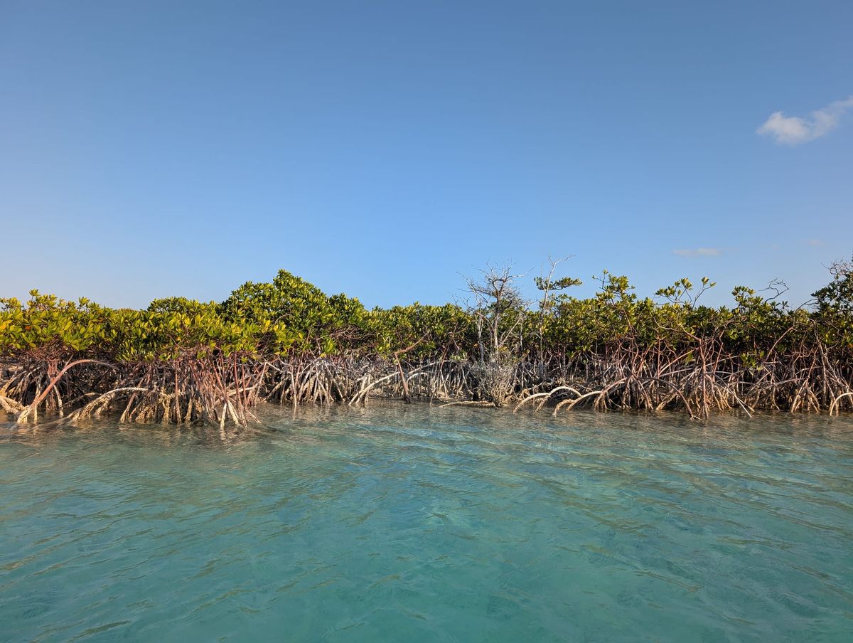 shroud cay, bahamas