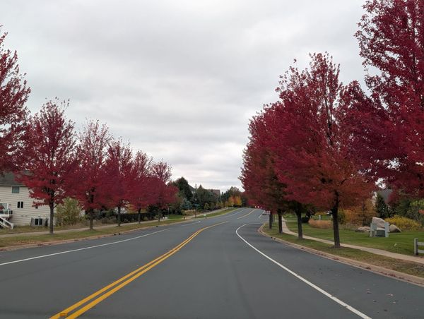 fall recap