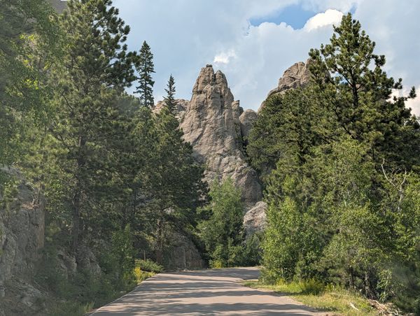 custer, sd