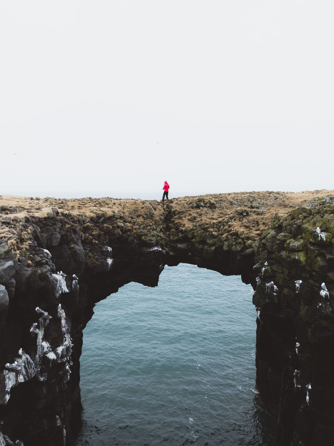 Mood: finding my footing on my own bridge. | Art by Kyler Troutner on Unsplash