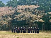 On Samurai Training and Being a Cell to a Larger Organism