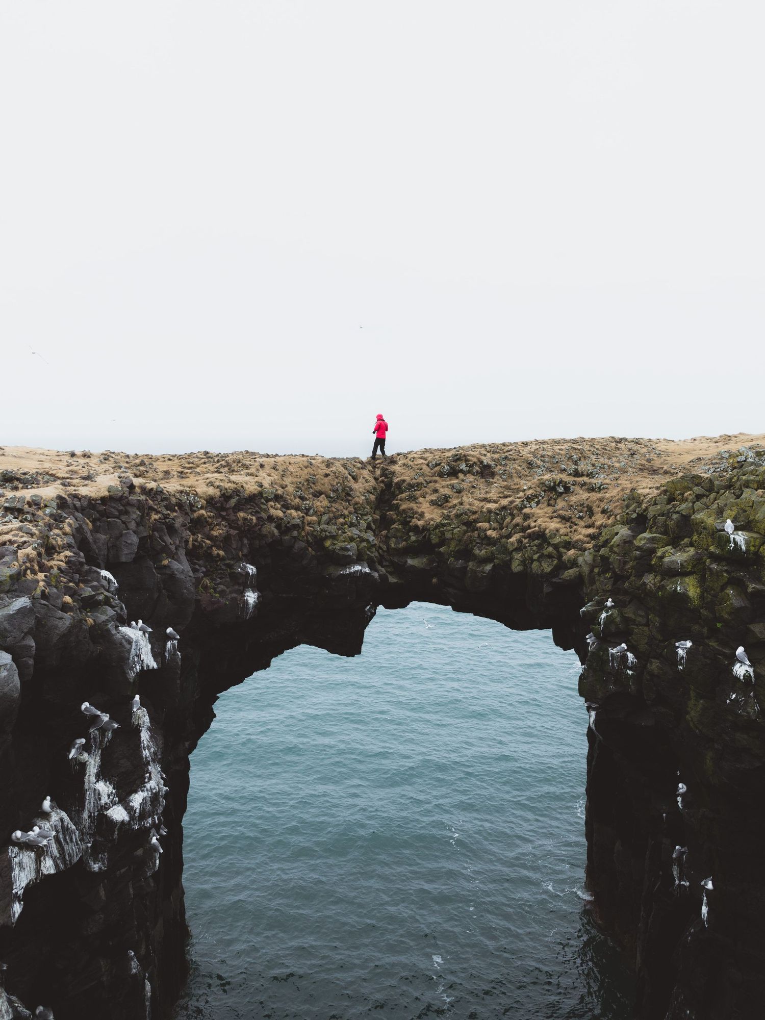 Mood: finding my footing on my own bridge. | Art by Kyler Troutner on Unsplash