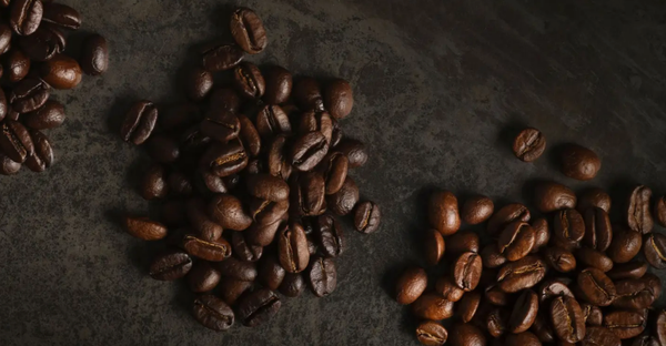 Kicking Horse: Influencer Prospecting Analysis