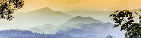 Finding Influencers for Hennessy Hammock