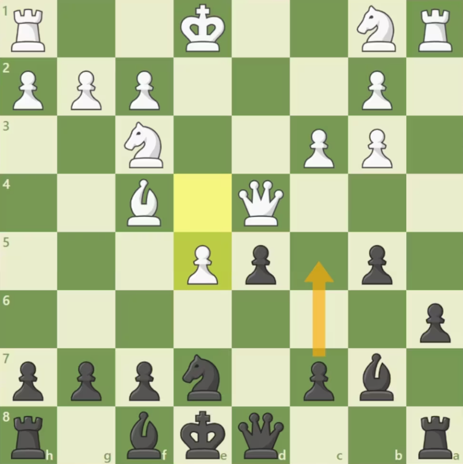 #66 Exquisite display of Golden Bishop and bishop pair by Fischer