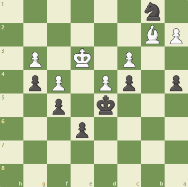 Dacha Tactics #24 - Nimzo light squeeze featuring triangulation!