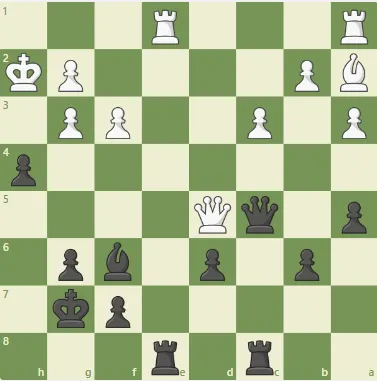 Dacha Tactics #16 - hardcore dark dacha.