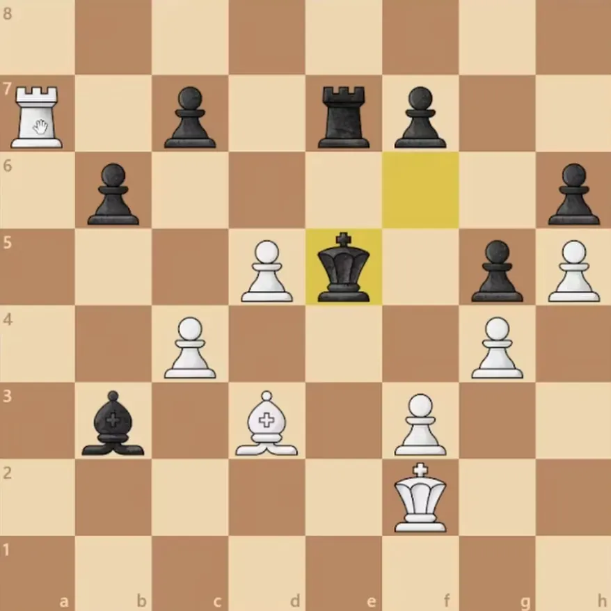 #74 Blitz battles featuring instructive knight vs bishop endgames and the pawn endgame transitions.