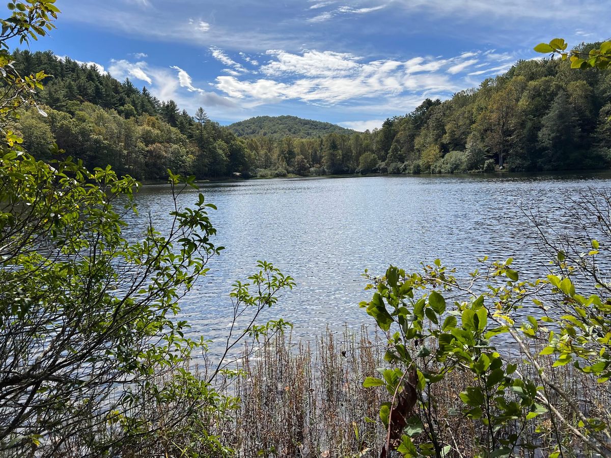 Good tokens 2025-10-10