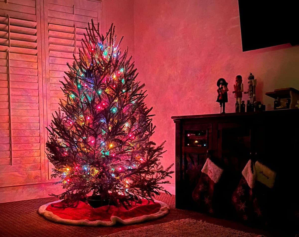 Good Tokens 2025-12-19