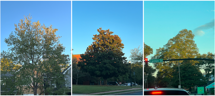 Good Tokens 2025-10-01