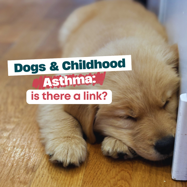 Dogs & Childhood Asthma: is there a link? 