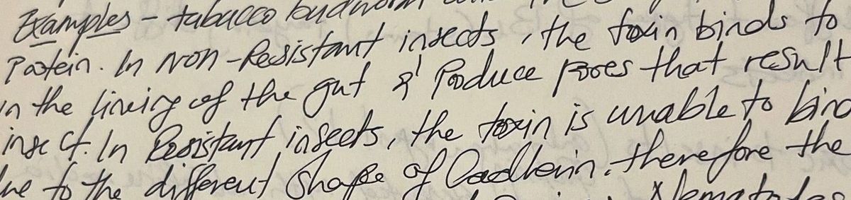 Why I started this site?