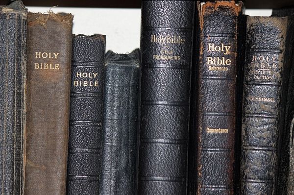 A beginners guide to reading the bible.