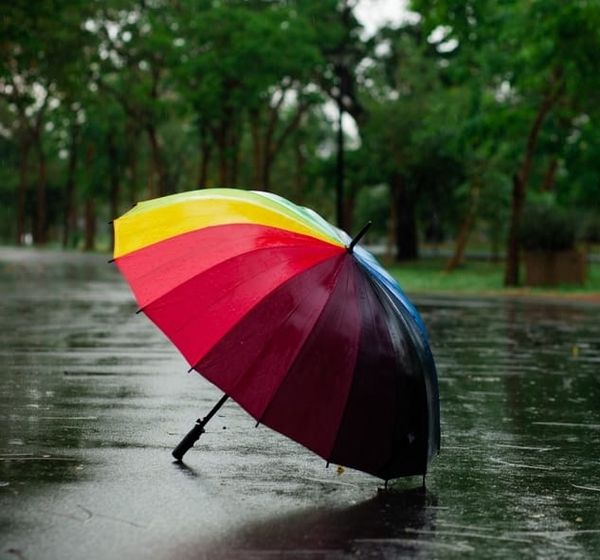 NEW, 2026 DROP out NOW