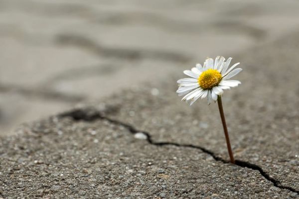 HOLDING HOPE