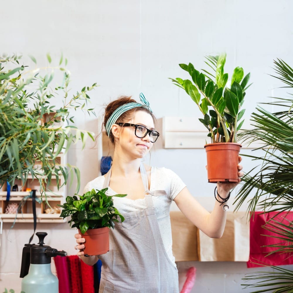 Домашние цветы. Что обязательно нужно делать весной