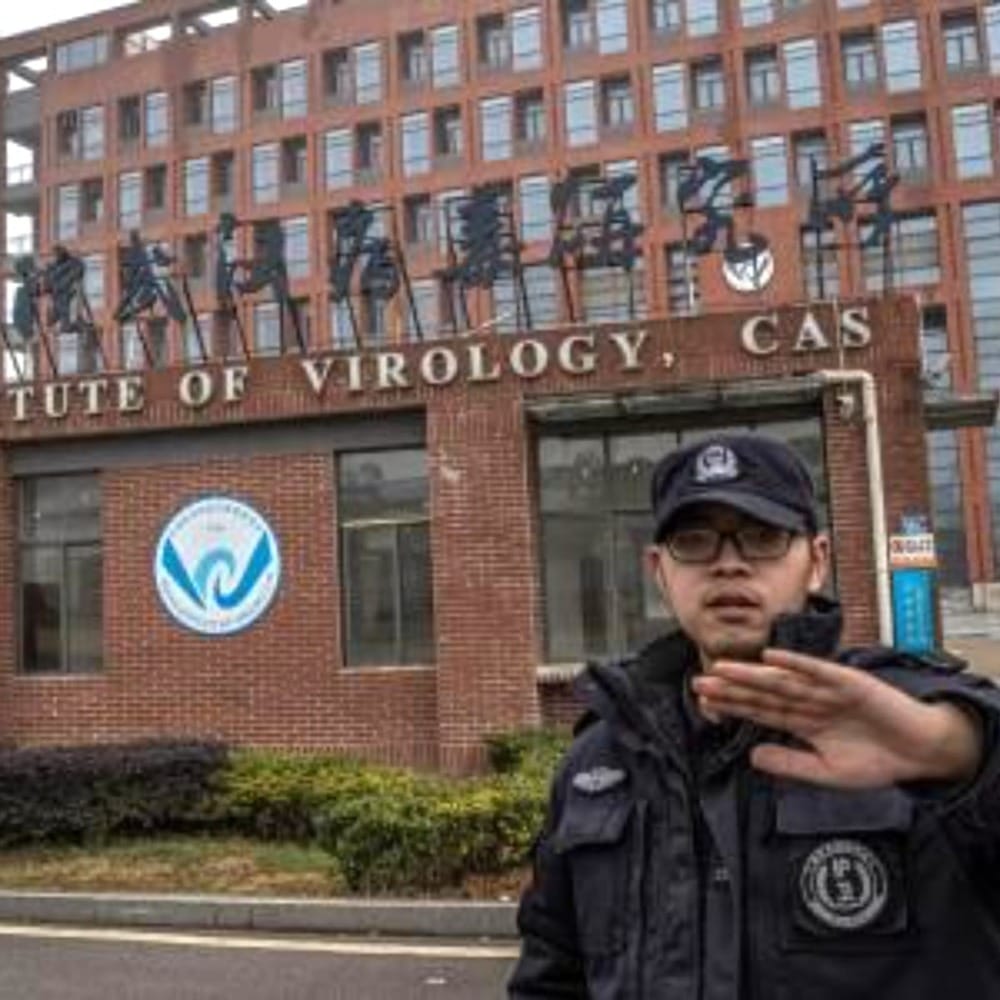 Эксперты выяснили откуда пришёл  коронавирус