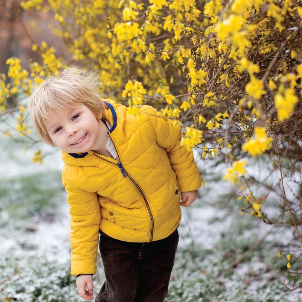 Золотое чудо в весеннем саду
