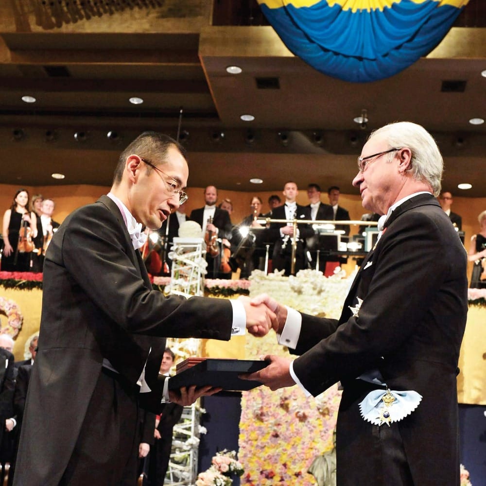 Обратный ход часов старения