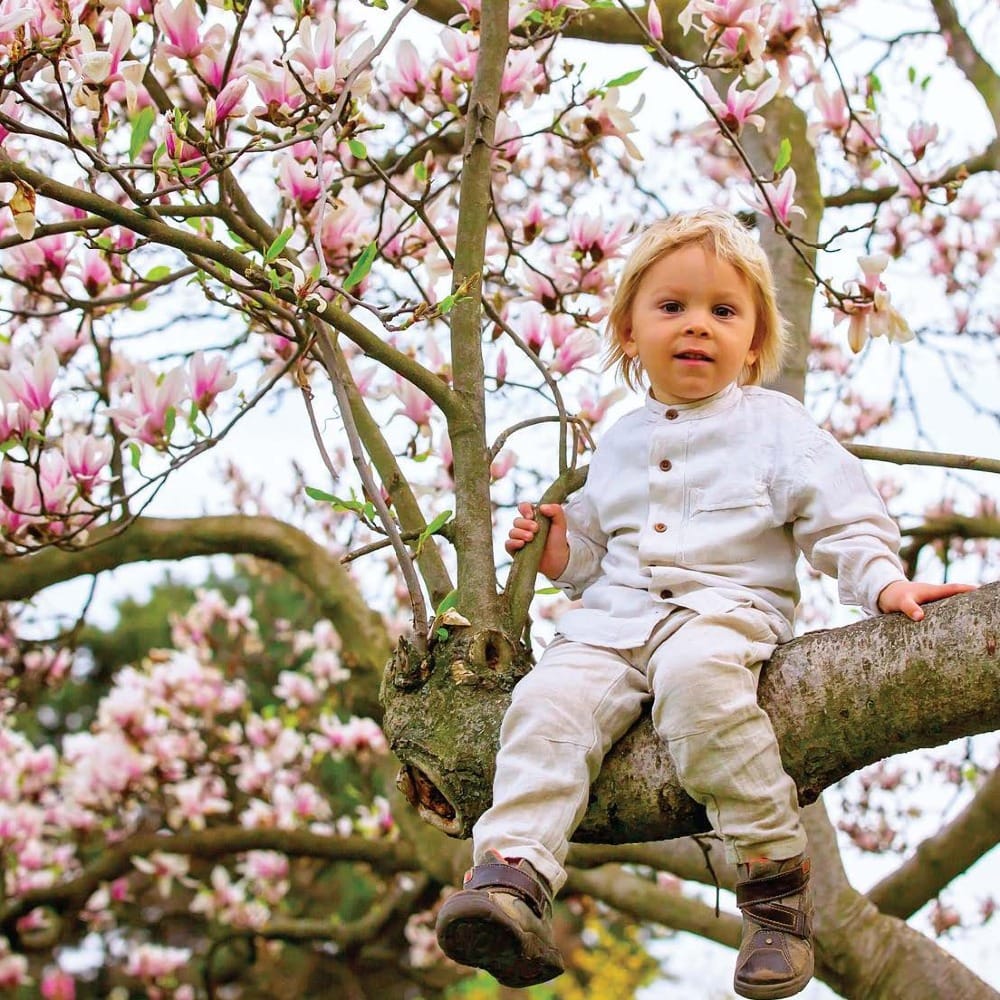 Аристократка весеннего сада