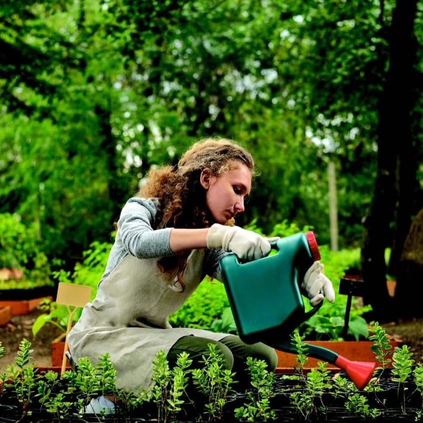 Что нужно сделать весной, чтобы осенью получить богатый урожай