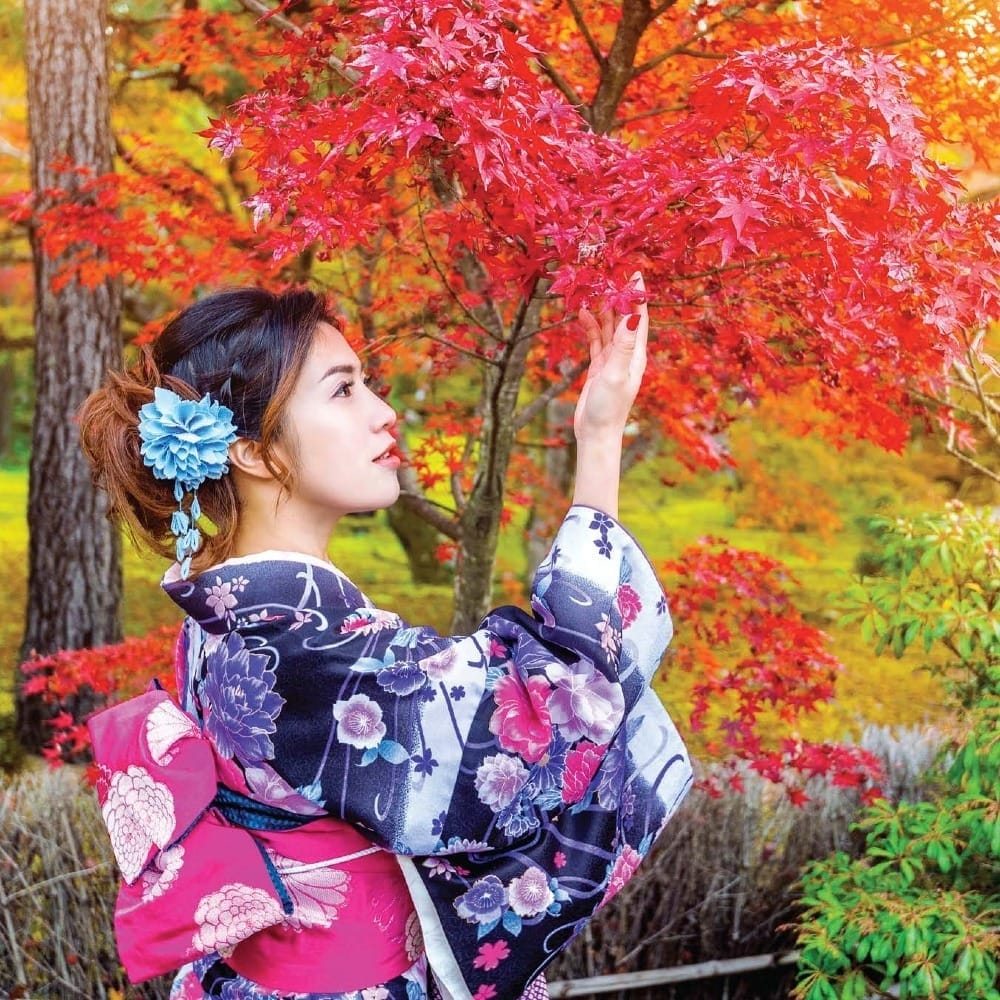 Ярко и стильно: растения зимы