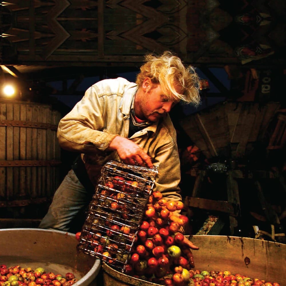 Простые секреты яблочного уксуса