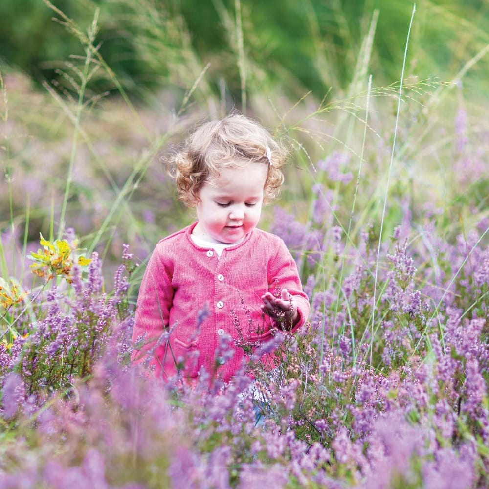 Шотландское счастье – вереск