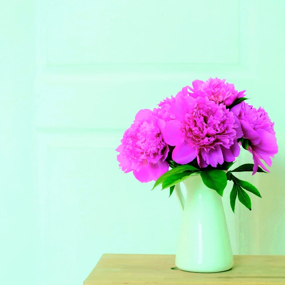 Величественный царь цветов