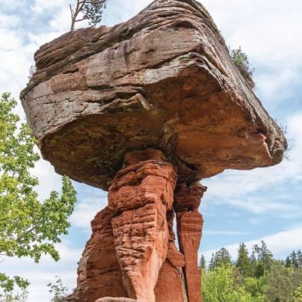 По следам дьявола