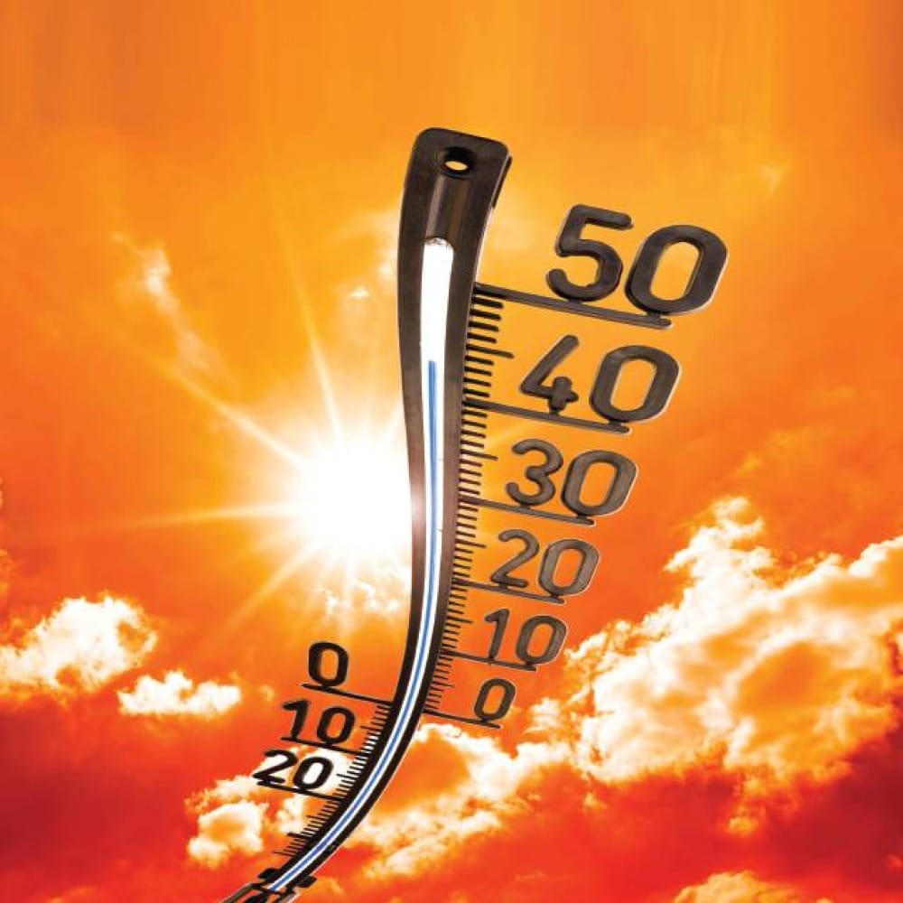 Жара и твое здоровье