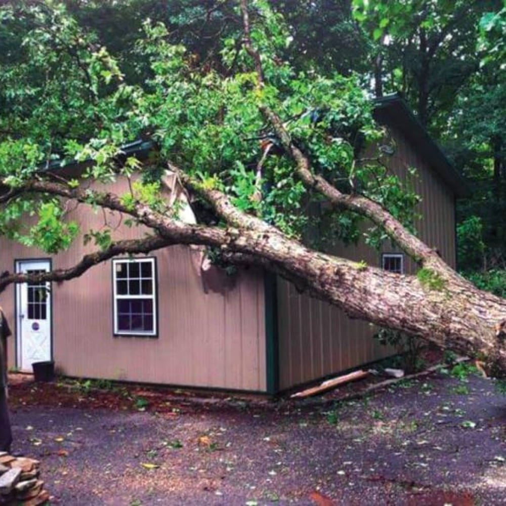 Страховая защита садовых домиков