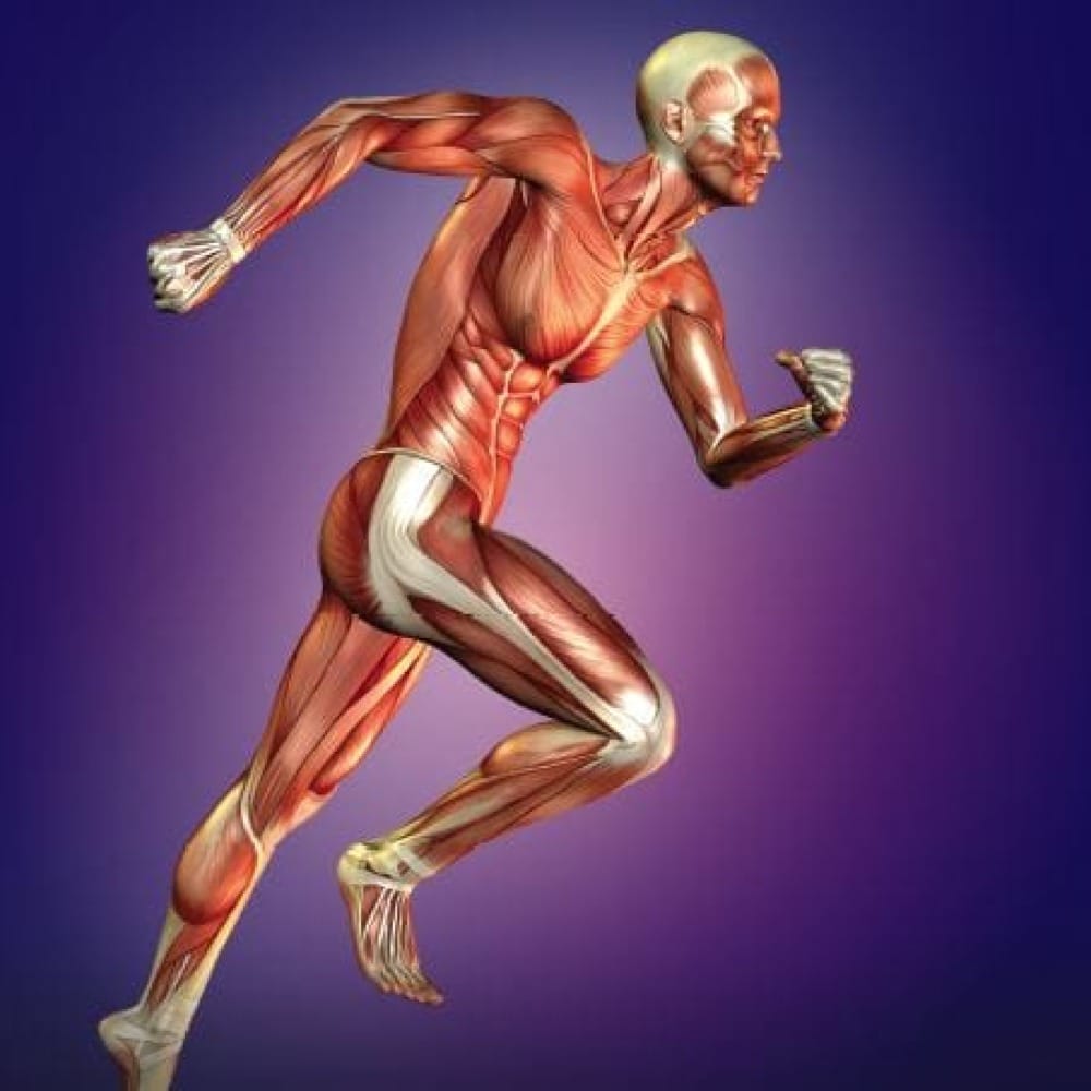 Ткань для тела и души