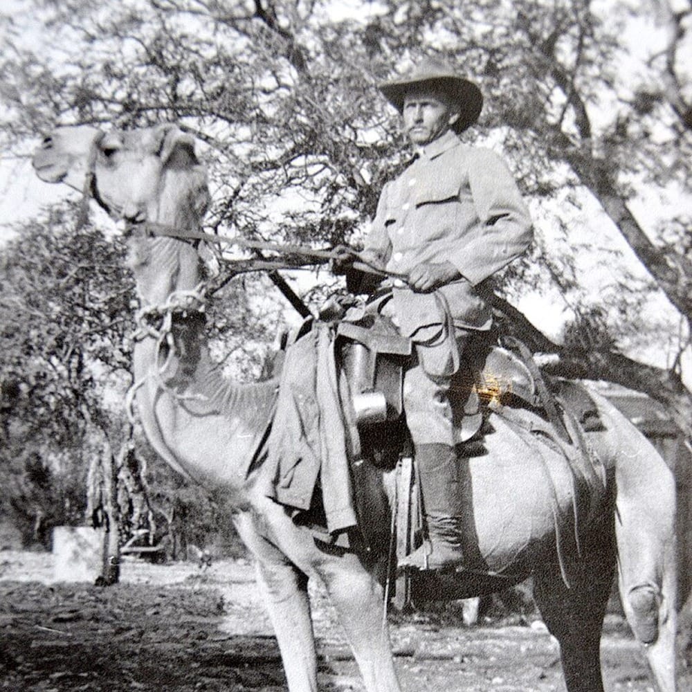 Забытые колонии