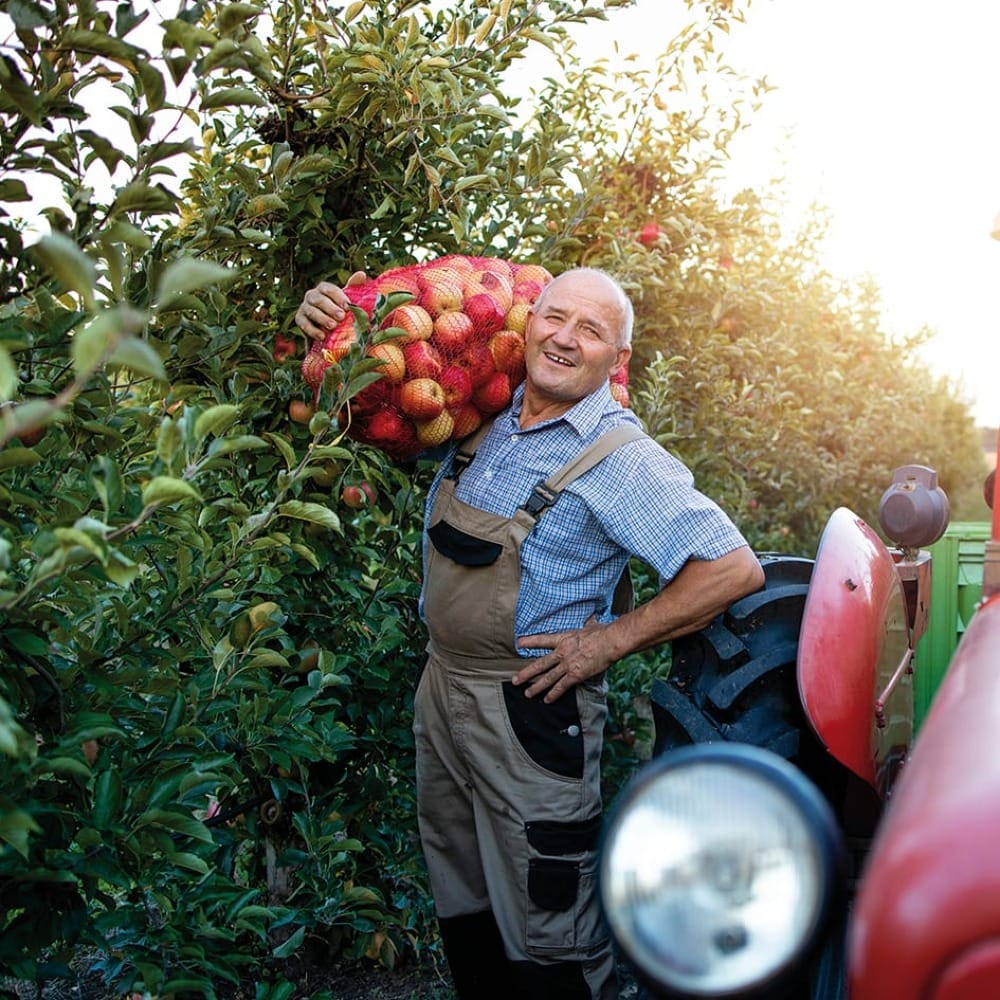 Обрезка  деревьев и кустов