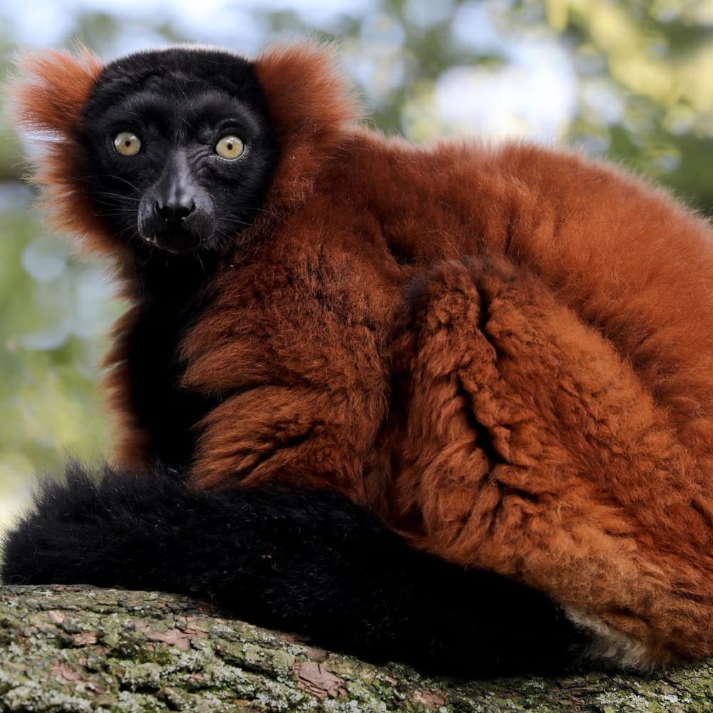 Здесь вам будут рады