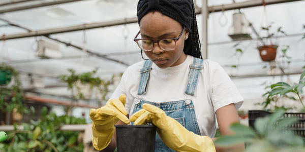 O futuro do trabalho é sustentável: conheça as carreiras verdes e o papel da educação