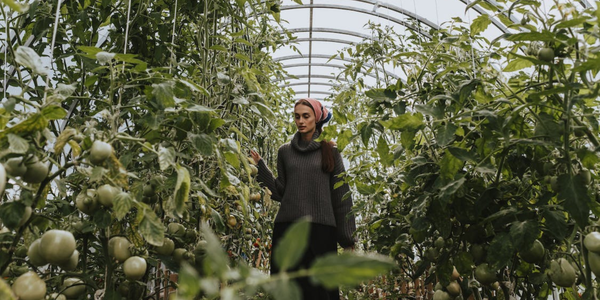 Objetivos de Desenvolvimento Sustentável: quais são as diretrizes dos ODS para o futuro?