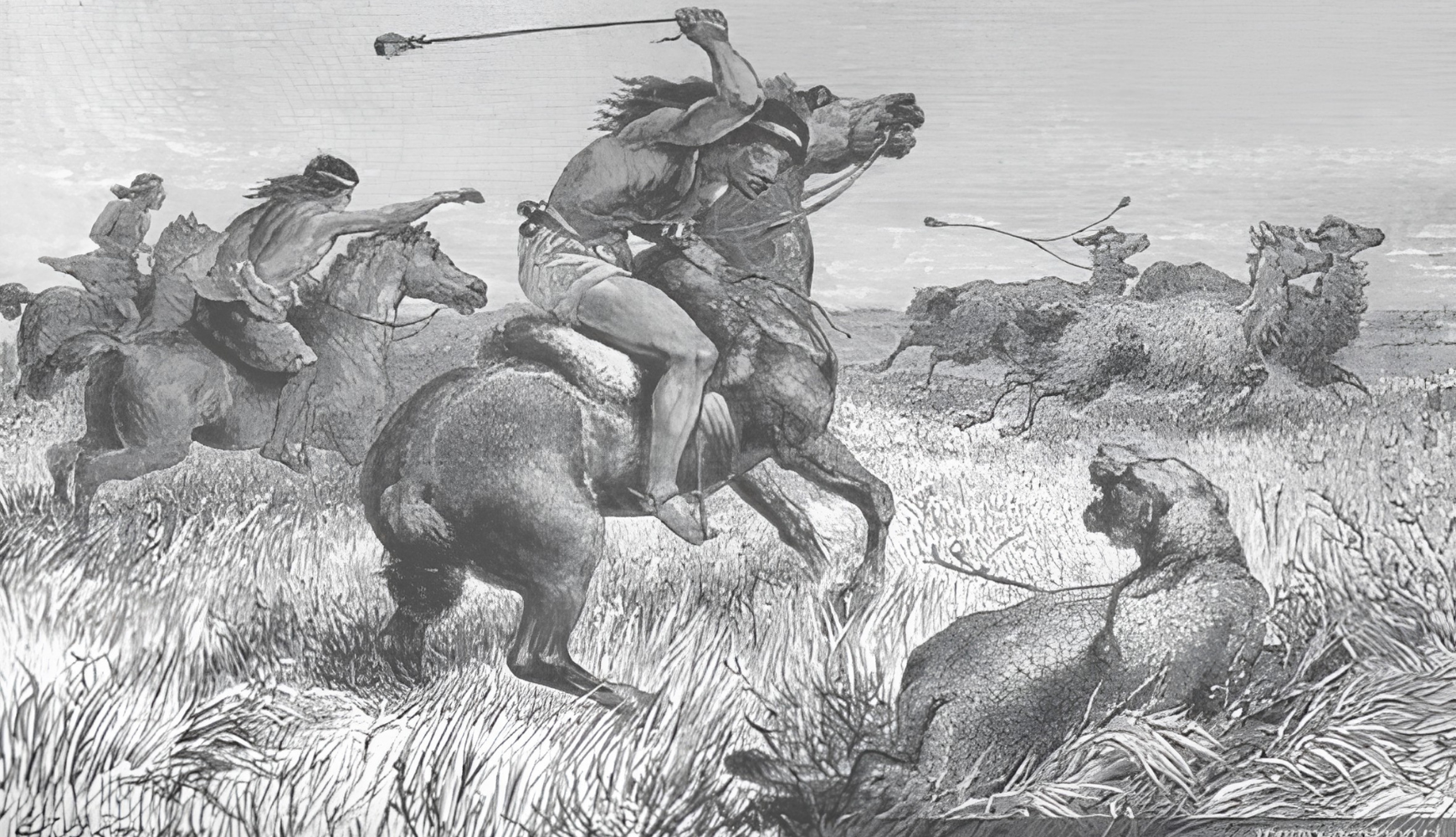 La historia del puma, el león Americano.