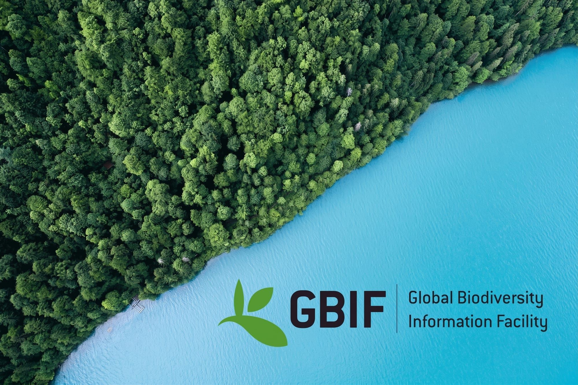 El atlas vivo del planeta ¿Qué es GBIF, ¿Por qué sostiene la conservación de la biodiversidad? y el gran cambio que se avecina