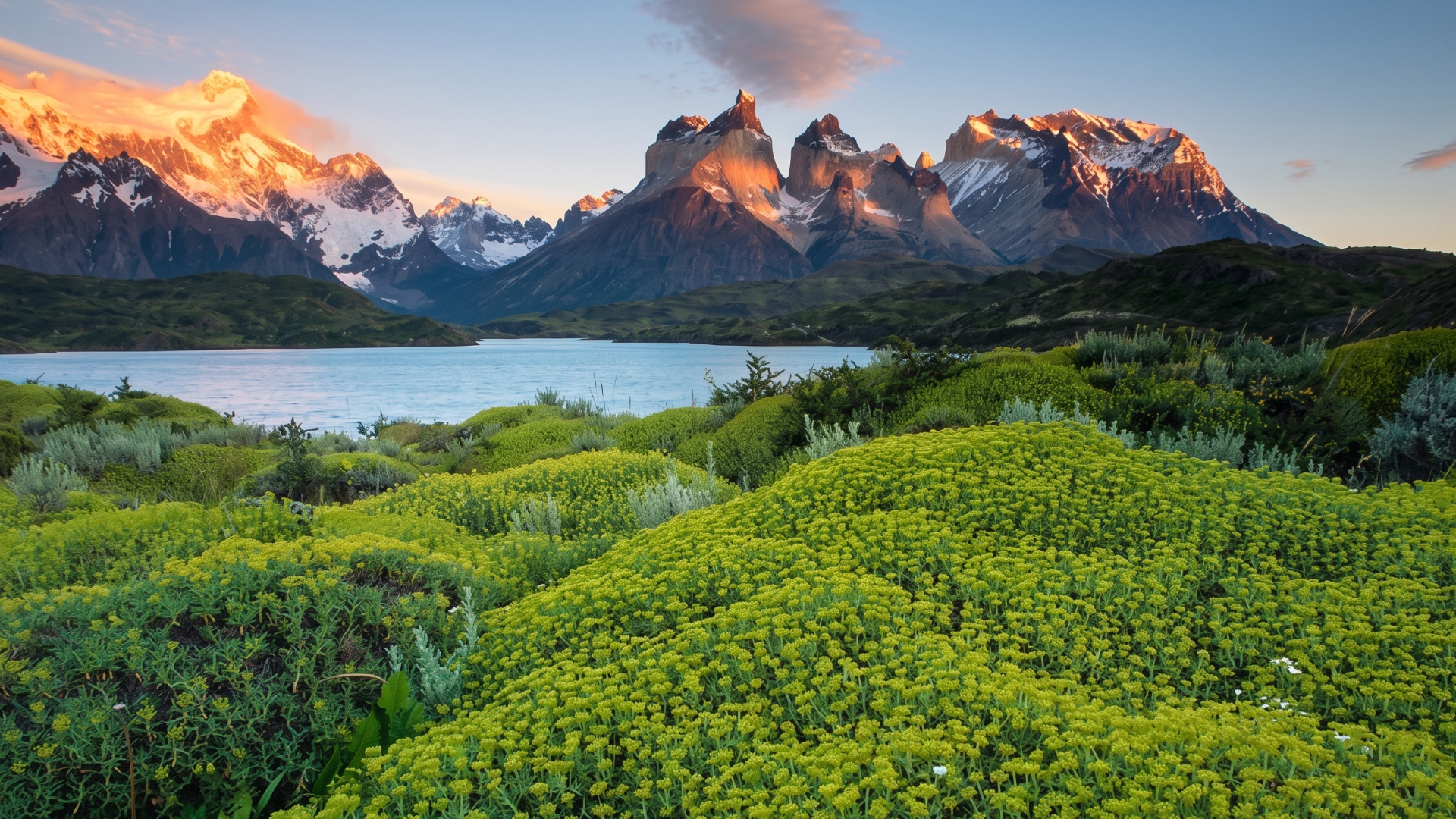 Como Medir La Biodiversidad Con Alta Integridad (Ground Truth)