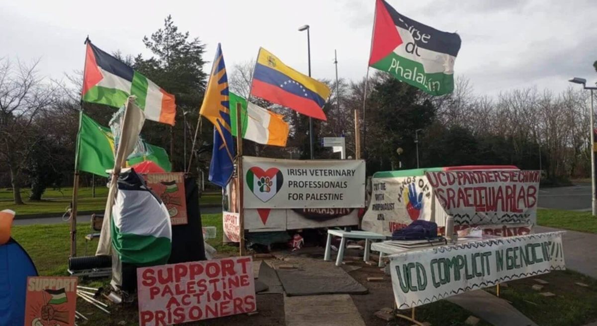 Universidad de Dublín niega la libertad de expresión a estudiantes que protestan contra el genocidio israelí en Gaza