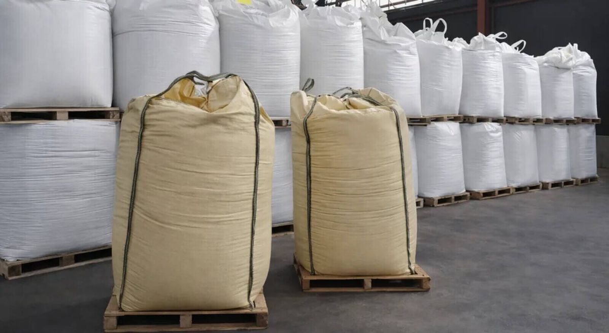 "Moscú ya ha propuesto": Alemania podría volver a apoyarse en Rusia