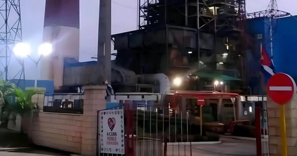 Cuba sobrevivirá: un diario