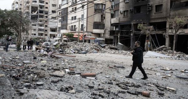 Israel utiliza ratas y enfermedades como arma sistemática contra civiles de Gaza