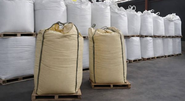 "Moscú ya ha propuesto": Alemania podría volver a apoyarse en Rusia