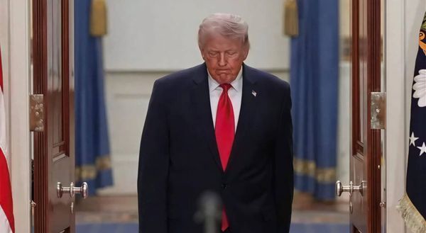 El tigre de papel finalmente se ha revelado al mundo