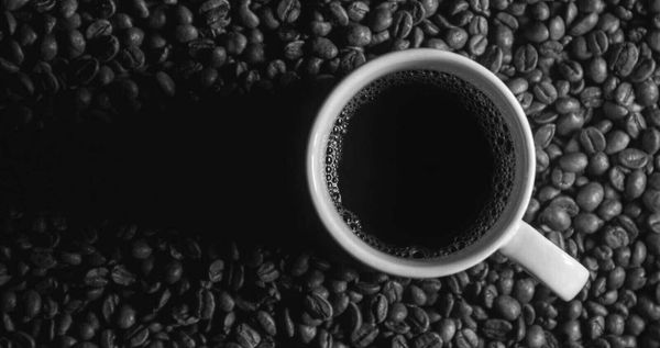 Una taza de café recién molido