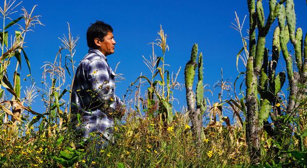 La soberanía también está en nuestros alimentos